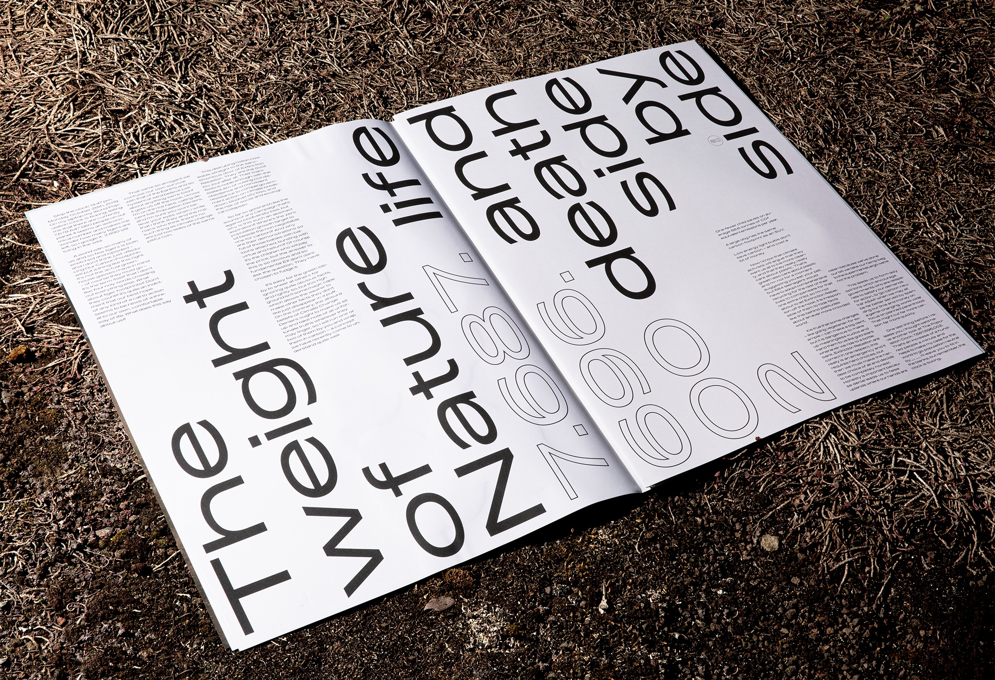 Aufgeschlagenes Magazin auf Rasenfl&auml;che / Magazine opened on lawn