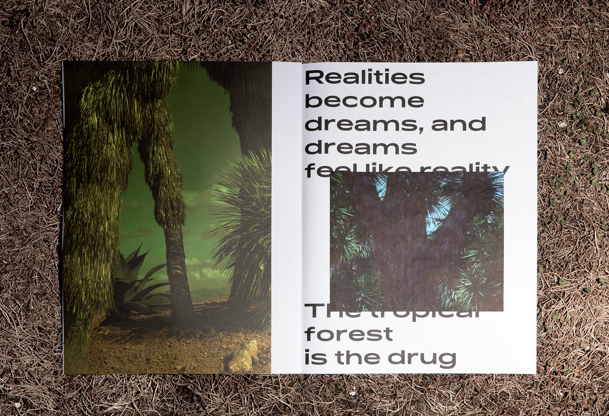 Magazinlayout Naturbilder und Schrift / Magazine layout full nature image with font