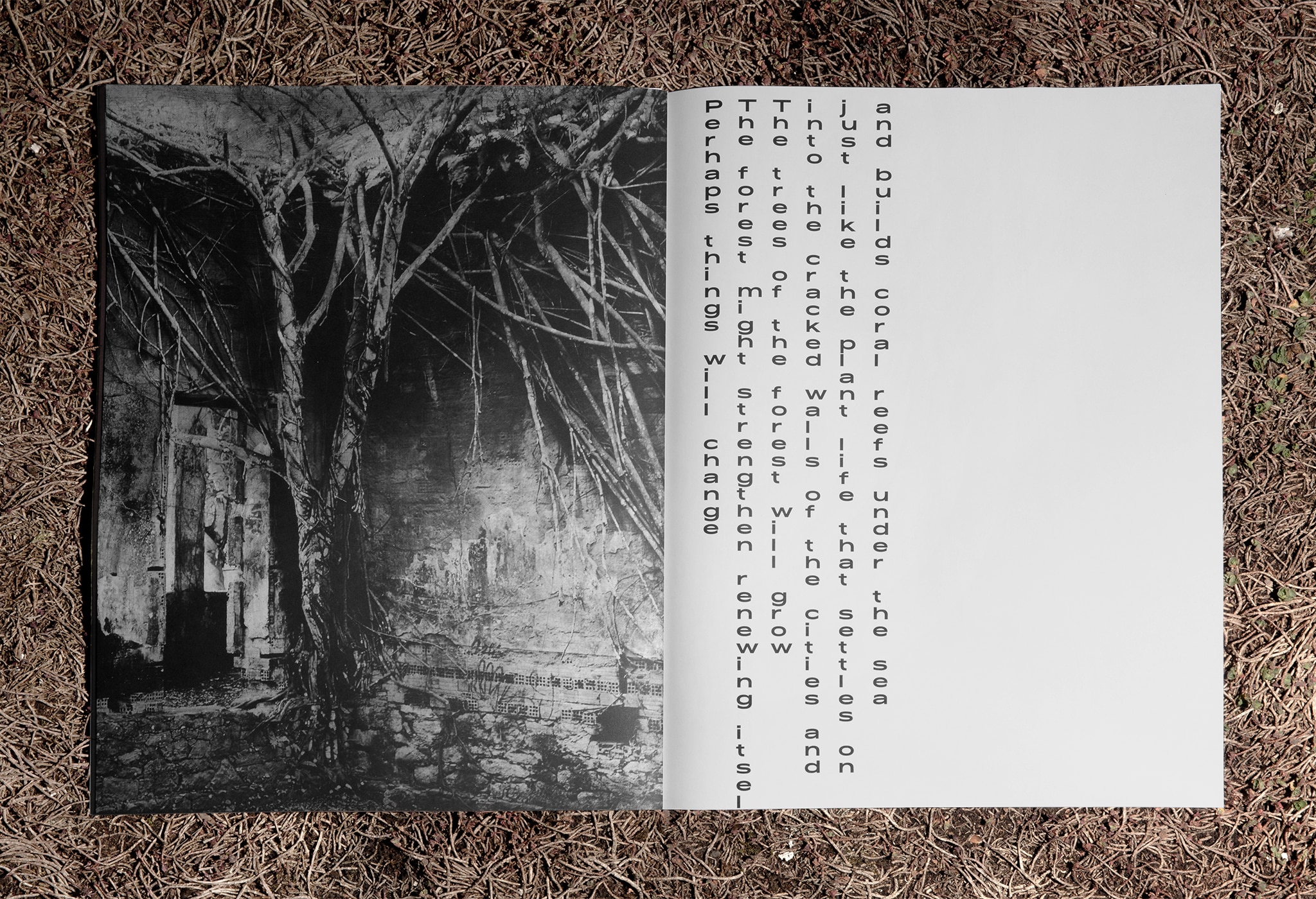 Magazinlayout mit gest&uuml;rzter Schrift / Magazine layout with truncated font