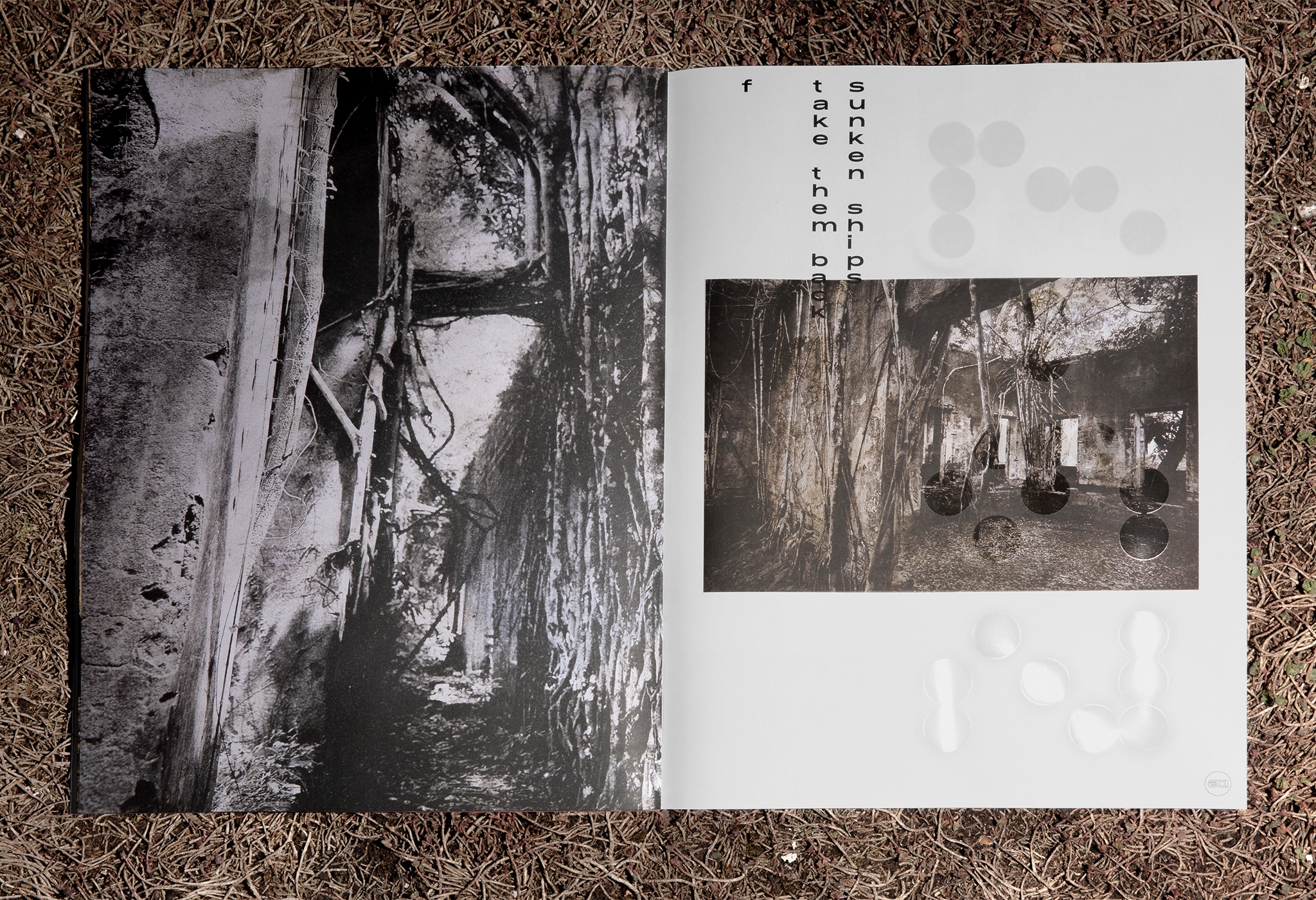 Magazinlayout mit gest&uuml;rzter lackierter Schrift / Magazine layout with truncated font