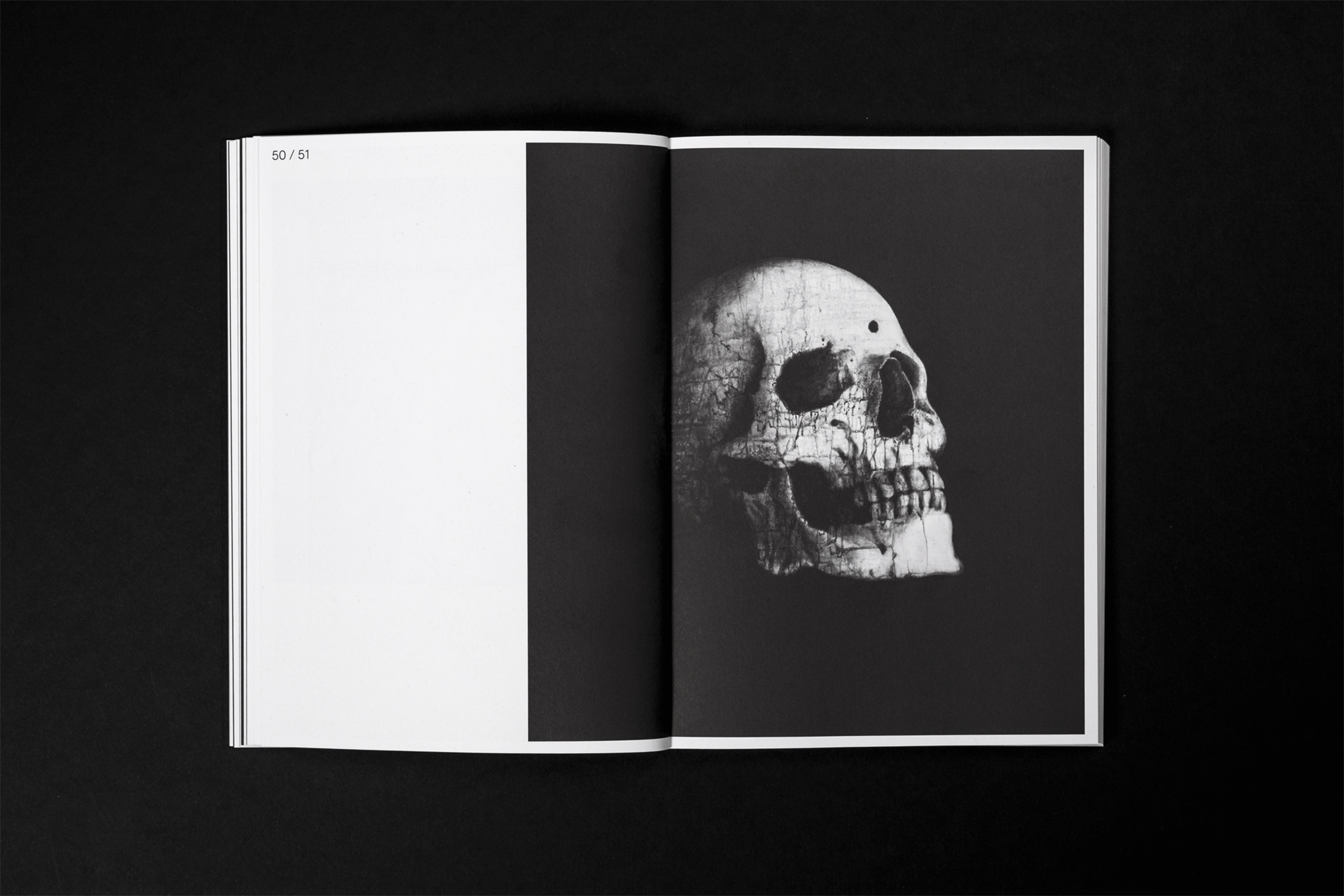 Malerei eines Totenkopfes sw / Painting of a skull bw