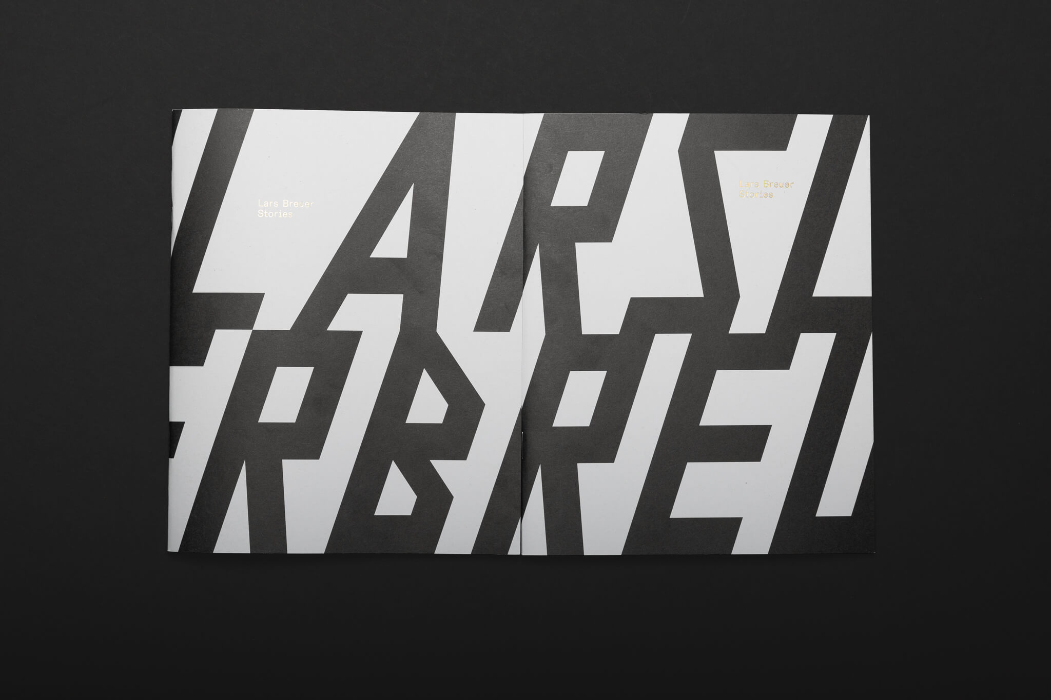 Zwei wei&szlig;e Katalogtitel nebeneinander / two black catalogue titles next to each other