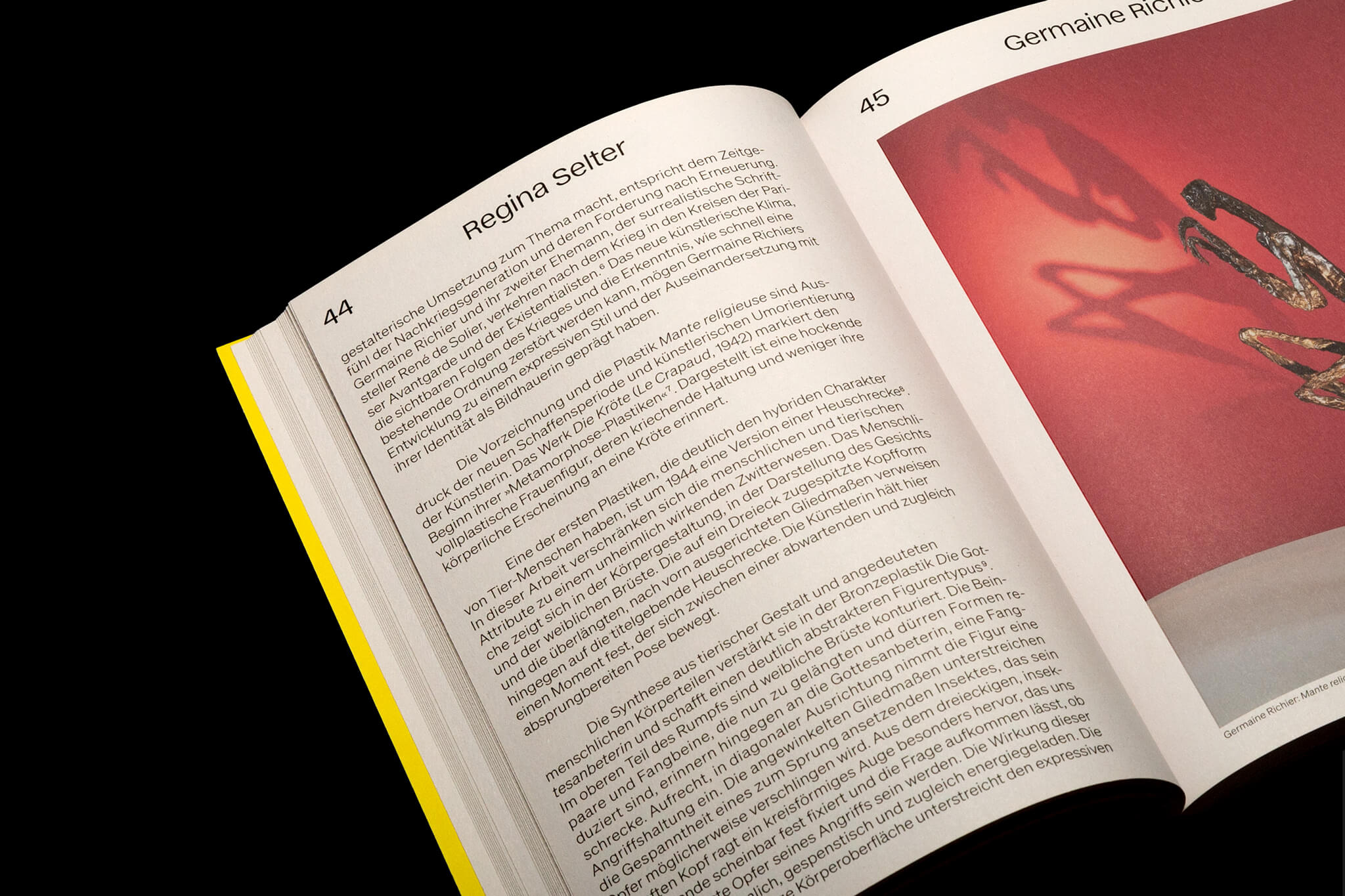 Doppelseite Text und gro&szlig;es Bild / Double page text and large image