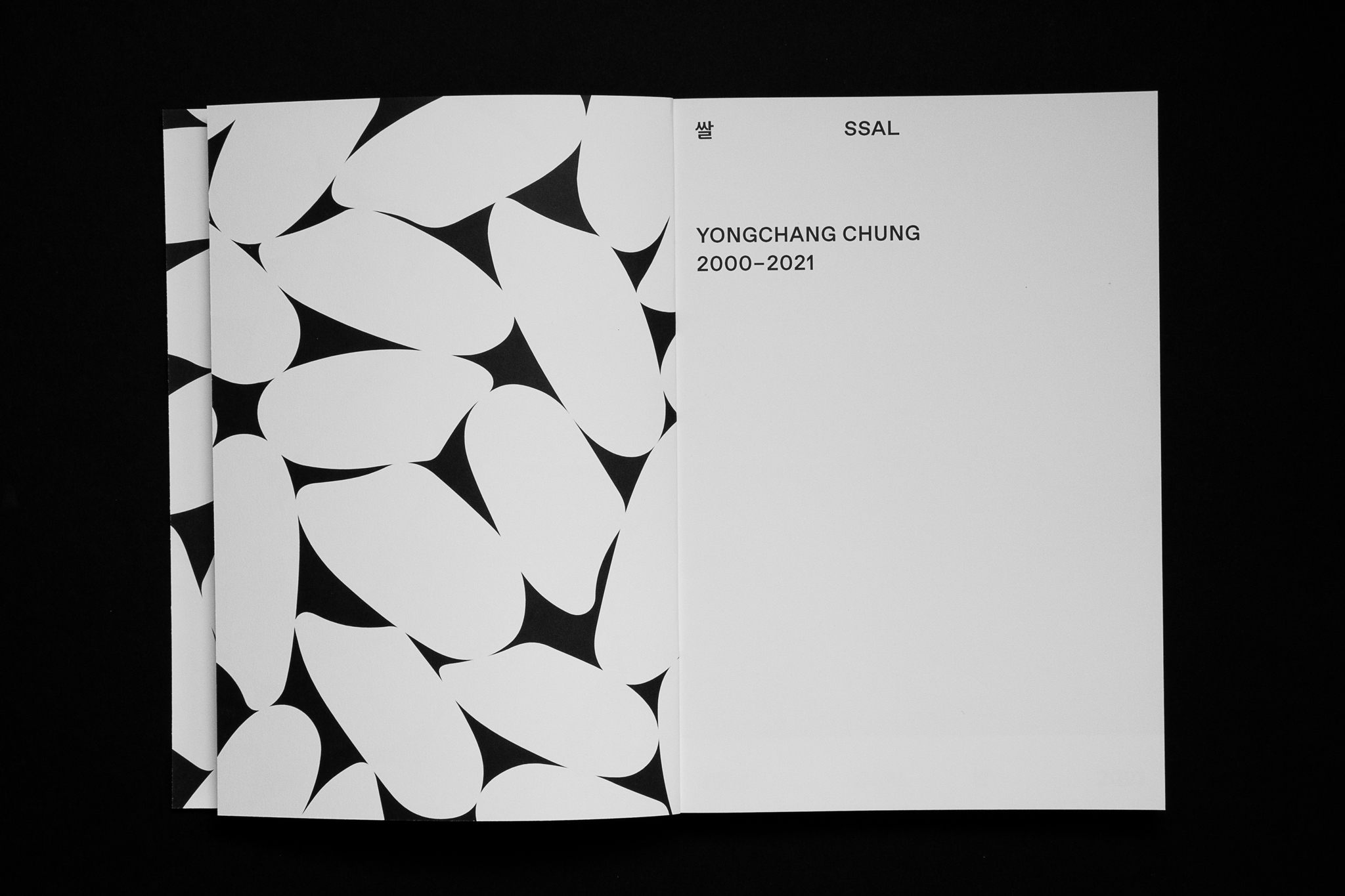 Schmutztitel + Vorsatzpapier mit grafischen Reisk&ouml;rnern / Mock title + endpapers with graphic rice grains